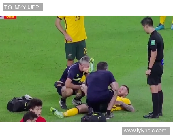 足球巨星不幸遇难飞机事故揭示航空安全隐患与运动员风险