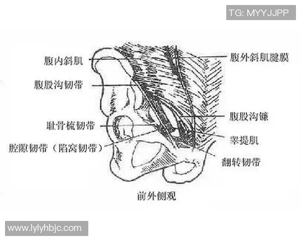 足球明星外侧韧带撕裂伤情分析与康复之路探讨