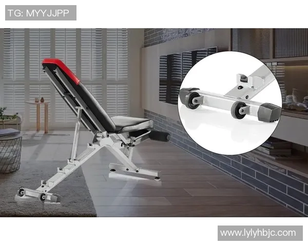 全面解析哑铃哑铃凳的使用技巧与训练计划助你打造完美身材